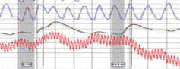 polygraph examination Temecula